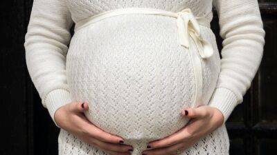 Володин: в России запретят суррогатное материнство для иностранцев