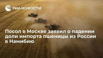 Посол в Москве: доля импорта пшеницы из России в Намибию упадет ниже 10 процентов