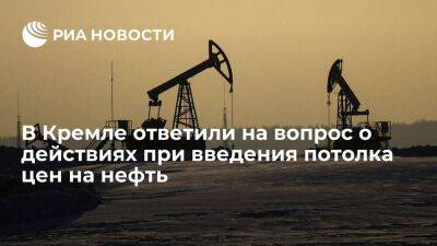Песков: Россия не будет торговать ресурсами со странами, которые введут потолок цен