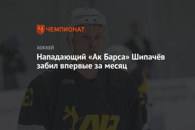 Нападающий «Ак Барса» Шипачёв забил впервые за месяц