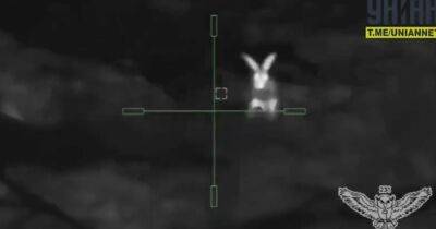 Снайпер ВСУ ликвидировал оккупантов, которые охотились на зайца с гранатами (видео)