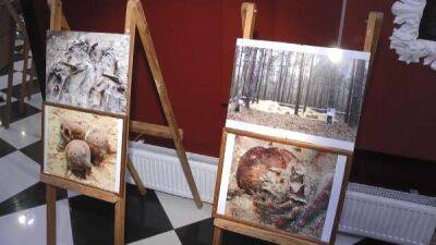 Выставка на тему геноцида белорусского народа открылась в Гомеле