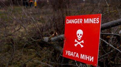 В деокупированной Снегиревке мужчина подорвался на мине - ru.slovoidilo.ua - Украина - Мариуполь
