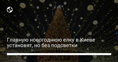 Главную новогоднюю елку в Киеве установят, но без подсветки