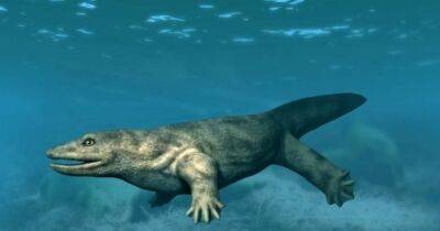 Перегрызал пополам своих жертв: стали известны новые подробности о более древнем "тираннозавре" (фото)