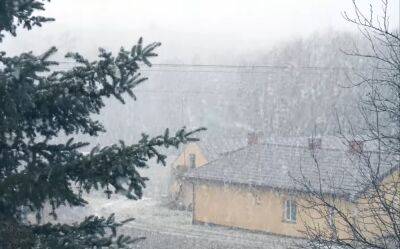 Сильные снегопады полосой пройдут по Украине: синоптик Диденко предупредила о стихии во вторник