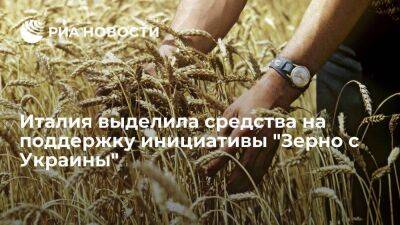 МИД Италии: страна выделила два миллиона евро на поддержку инициативы "Зерно с Украины