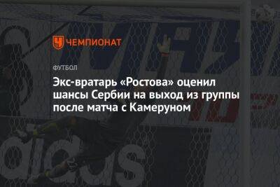 Экс-вратарь «Ростова» оценил шансы Сербии на выход из группы после матча с Камеруном