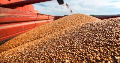 В ГД РФ заявили о готовности поставлять зерно за рубеж, если ЕС вернет Россельхозбанк в SWIFT