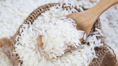 В Израиле начнут продавать рис из Европы: какие сорта и по каким ценам