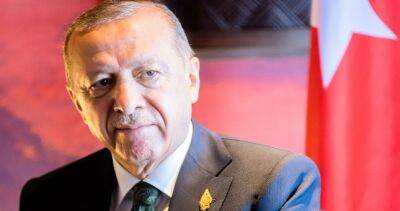 Эрдоган: Турция не будет отчитываться перед другими странами за операции в Сирии и Ираке