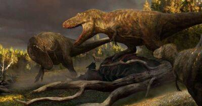 Ученые нашли новый вид динозавров: это может быть недостающее звено в эволюции тираннозавра