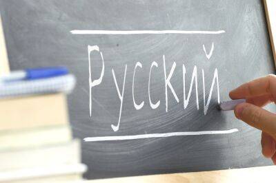 Литва должна отказаться от преподавания русского языка как иностранного – советник президента Литвы