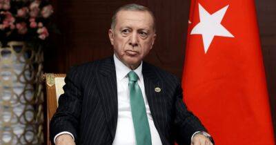 Центр нового мирового порядка: Эрдоган назвал главную цель Турции
