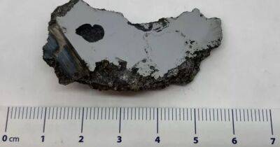 В 17-тонном метеорите ученые обнаружили 2 новых неизвестных на Земле минерала