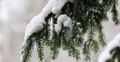 Мокрый снег и гололедица ожидаются в Беларуси 30 ноября