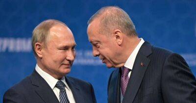 "Конструктивный подход": Эрдоган рассказал, как вернул Путина в "зерновую сделку"