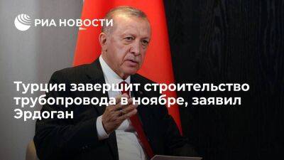 Эрдоган заявил, что Турция завершит строительство трубопровода в Черном море в ноябре
