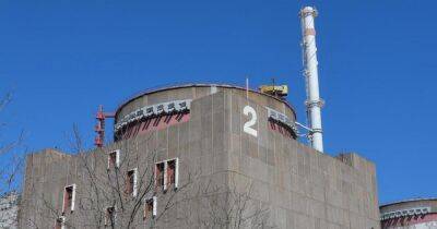 Запорожская АЭС полностью обесточена из-за российских обстрелов, — "Энергоатом"