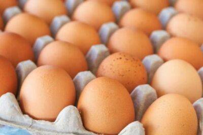 Цены на яйца. Минагрополитики договорилось о стабилизации с производителями птицы