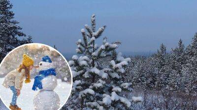 Зима придет по расписанию: в декабре в Украине обещают много снега