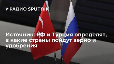 Источник: РФ и Турция определят список получателей российского зерна и удобрений