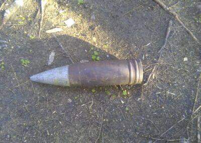 В Сморгонском районе обнаружили артиллерийский снаряд времен Великой Отечественной войны