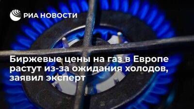 Эксперт Галактионов: рост биржевых цен на газ в Европе связан с ожиданиями похолодания