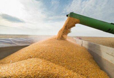 Россия возобновляет участие в черноморской зерновой инициативе по вывозу зерна — Минобороны