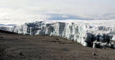 Последний из Могикан. К 2050 году единственный ледник в Африке "умрет"