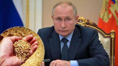 Никаких обязательств перед Москвой: в МИД объяснили возвращение России к зерновому соглашению
