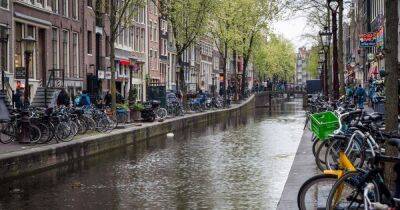 80% украинских беженцев в Нидерландах нашли работу: большинство — в Амстердаме и Гааге