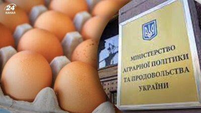 Для стабилизации цен на яйца: Минагрополитики подписало меморандум с производителями