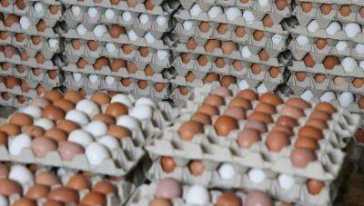 Ціни на курячі яйця припинять зростання – підписано меморандум