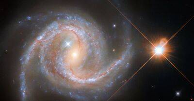 Звезды из Млечного пути "попали" в другую галактику и это увидел телескоп Хаббл (фото)