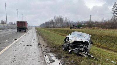 Легковушка и грузовик столкнулись на Киевском шоссе в Ленобласти, пострадали женщина и ребенок