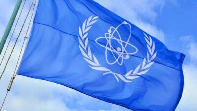 Поиски "грязной бомбы" в Украине: МАГАТЭ завершило анализ 3 ядерных объектов