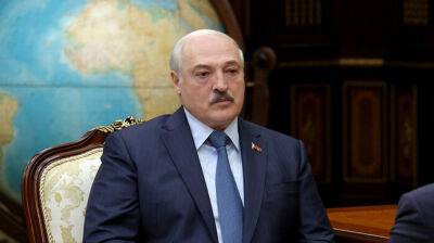 В Беларуси женщине дали год колонии: была пьяна и назвала Лукашенко козлом