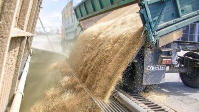 Украина отгрузила 10 млн тонн зерна по "зерновому соглашению" - глава ООН