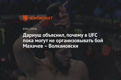 Дариуш объяснил, почему в UFC пока могут не организовывать бой Махачев – Волкановски