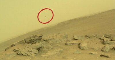 Неопознанный пиксель. На снимках неба Марса увидели "летающую" черную точку (фото)