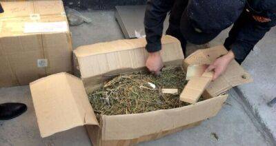 В Узбекистане пресекли ввоз 30 кг наркотиков из Таджикистана