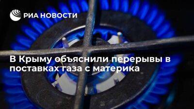 Депутат Шеремет: перерыв в поставках газа в Крым связан с регламентными работами