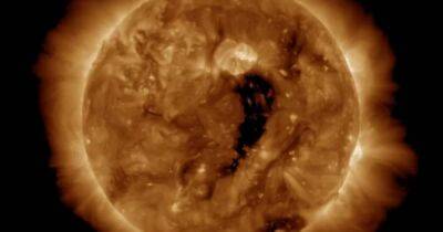 На Солнце появилась черная дыра: к Земле отправится поток плазмы со скоростью 2,9 млн км/час - focus.ua - Украина