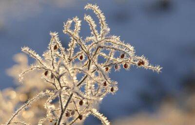 Прогноз погоды: первый день зимы в Твери будет морозным