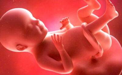 В США из замороженных 30 лет назад эмбрионов родились близнецы