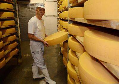 Експерти назвали найкращий сир 2022 року
