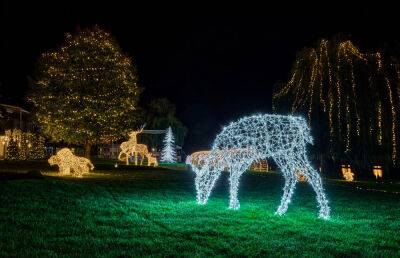 В Праге открылся второй парк рождественских световых инсталляций