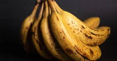 Ученые подтвердили, что все бананы радиоактивны: стоит ли отказываться от банановых смузи