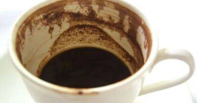 Неожиданное открытие: ученые использовали недопитый кофе для создания биодизеля - focus.ua - США - Украина - Англия